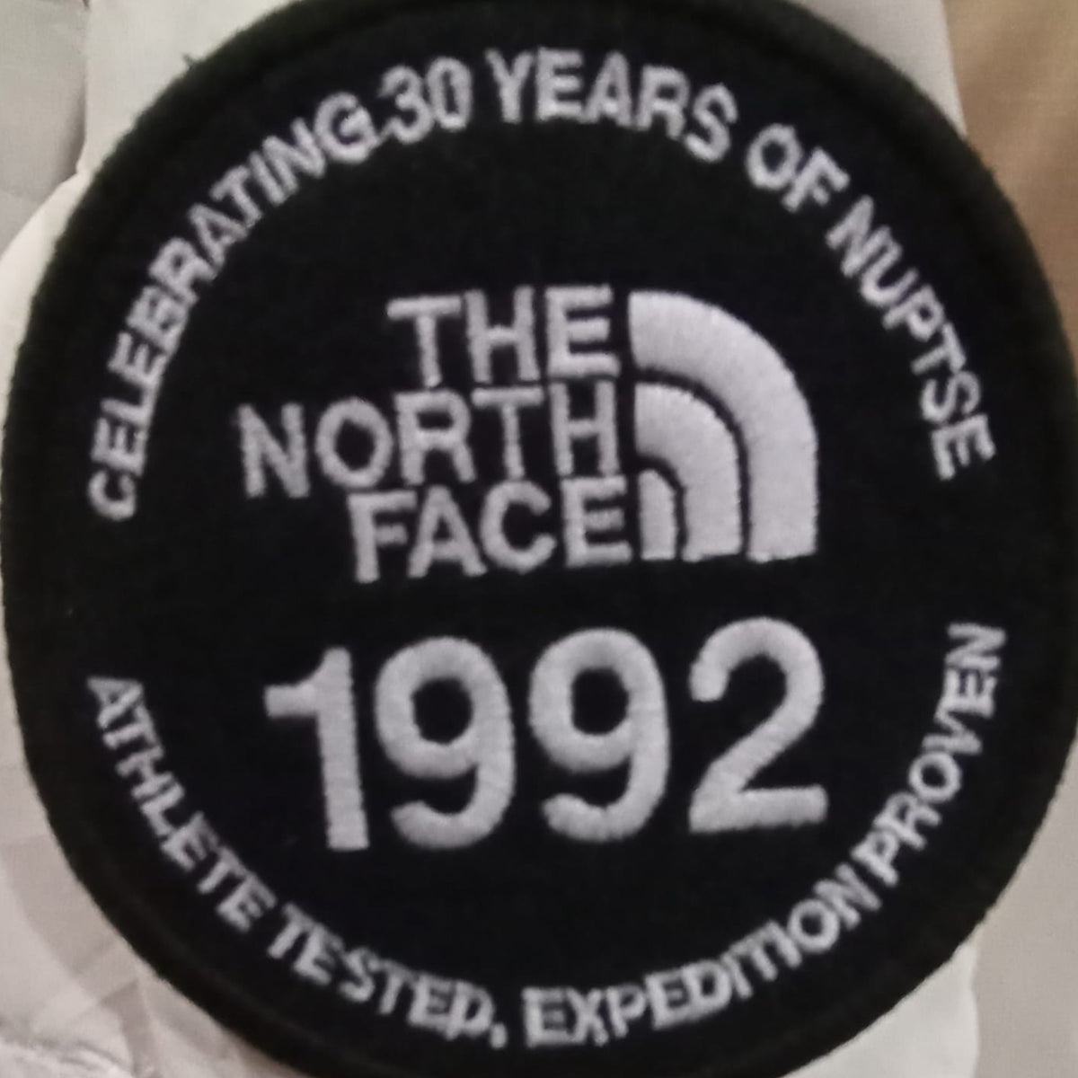 NORTH FACE 1996 ECO NUPTSE 600 JACKET