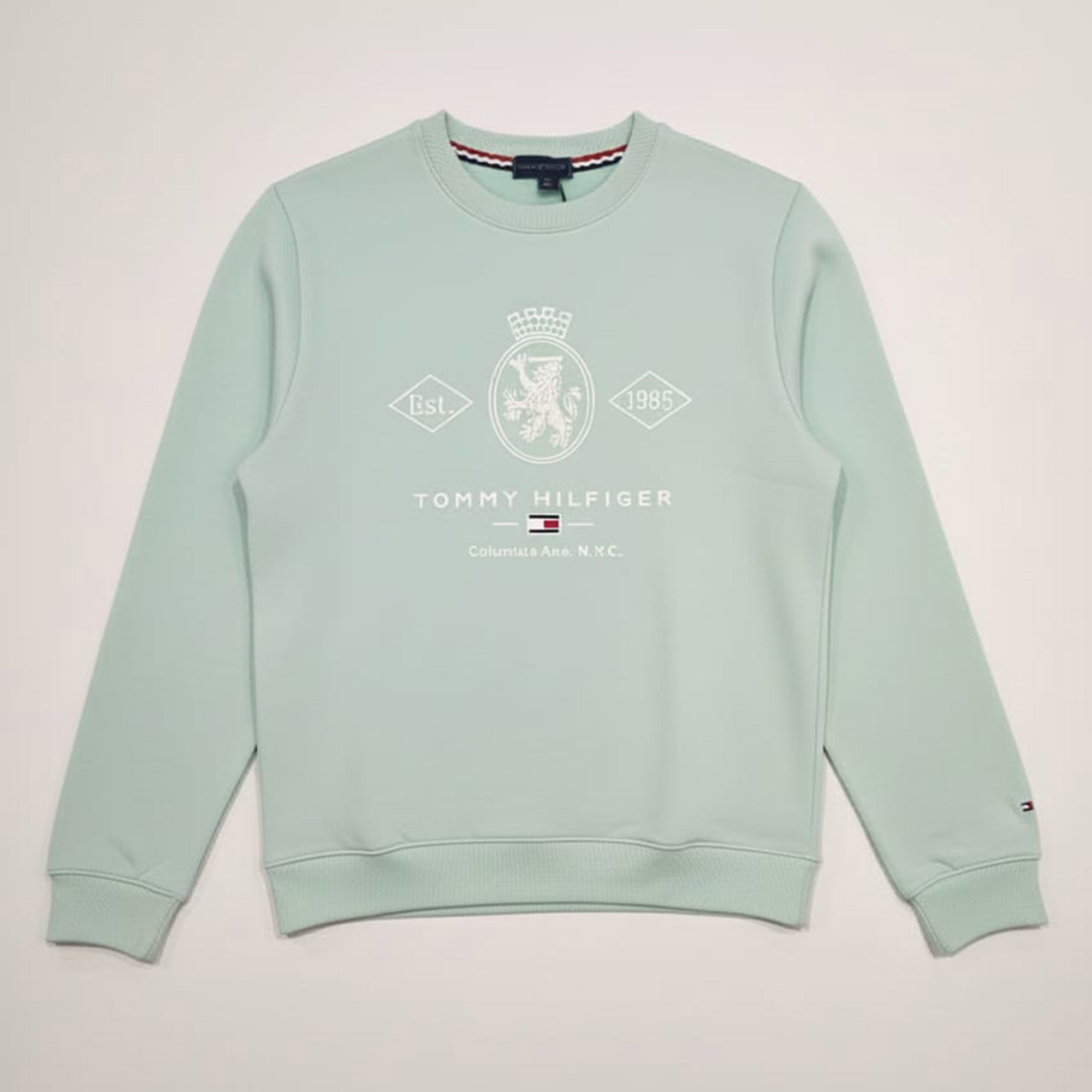 Tommy Hilfiger Premium Peinted Sweatshirt in Sea Green